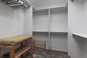 Spacious closet featuring dark colored carpet