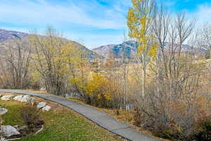 Community walking path behind building.