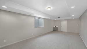 Basement with light carpet