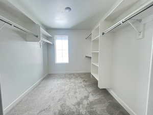 Walk in closet featuring carpet