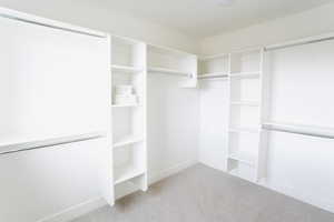 Spacious closet featuring light colored carpet