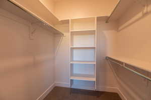 Walk in closet featuring carpet floors