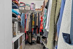 Walk in closet featuring carpet floors