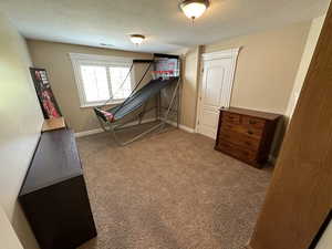 Miscellaneous bedroom with carpet and a textured ceiling