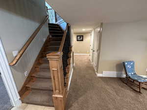 Stairway featuring carpet