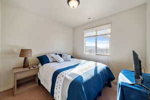 Bedroom featuring carpet floors