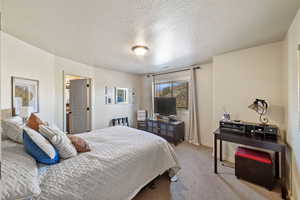 Bedroom featuring carpet and a textured ceiling