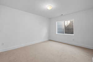 Carpeted spare room with a textured ceiling