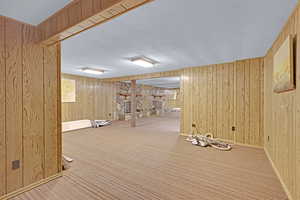 Basement featuring carpet and wooden walls