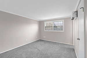 Spare room with carpet flooring, a textured ceiling, and crown molding