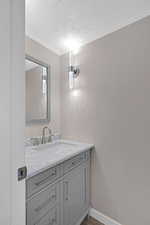 Bathroom featuring hardwood / wood-style floors, vanity, ornamental molding, and a textured ceiling