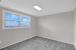 Unfurnished room with carpet flooring, a textured ceiling, and ornamental molding