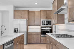 Kitchen with appliances with stainless steel finishes, light hardwood / wood-style floors, wall chimney exhaust hood, and sink