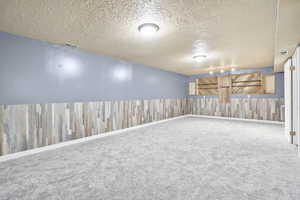 Basement with carpet, a textured ceiling, and wood walls