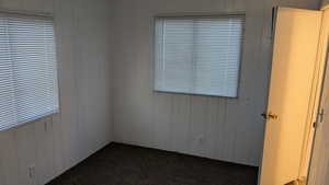 Carpeted spare room featuring a wealth of natural light and wood walls