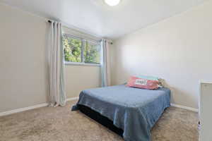 Bedroom with light carpet