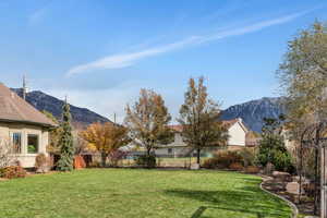 View of yard with a mountain view