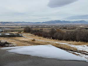 backyard view from back deck