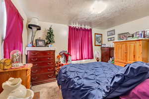 Carpeted bedroom featuring a textured ceiling