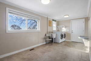 Laundry area with light carpet, ornamental molding, and washing machine and clothes dryer