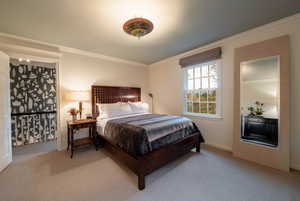 Bedroom featuring carpet floors and ornamental molding