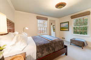 Carpeted bedroom featuring multiple windows and crown molding