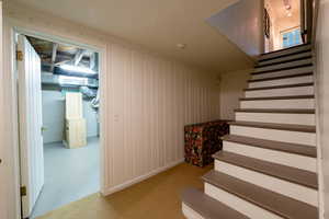 Staircase with carpet floors