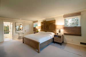 Carpeted bedroom featuring multiple windows and crown molding