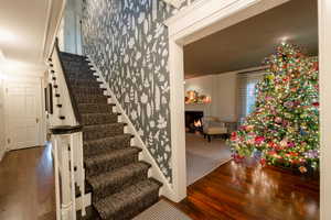 Stairs featuring hardwood / wood-style floors