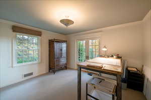 Bedroom with carpet flooring and multiple windows