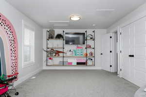 Recreation room featuring light colored carpet