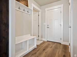 Mudroom featuring hardwood / wood-style floors