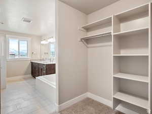 Walk in closet featuring sink