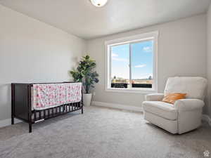 Carpeted bedroom featuring a nursery area