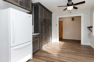 Kitchen with ceiling fan, dark brown cabinets, light hardwood / wood-style floors, and white refrigerator