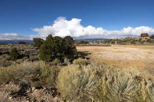 View of nature featuring a rural view