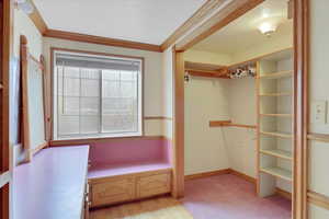 Spacious closet featuring light colored carpet