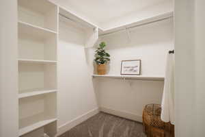 Walk in closet featuring carpet flooring