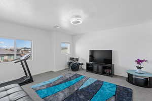 Carpeted living room featuring a textured ceiling