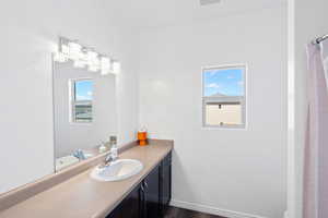 Bathroom featuring hardwood / wood-style floors, vanity, and a healthy amount of sunlight