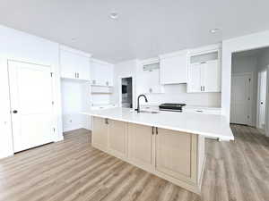 Kitchen featuring white cabinetry, a large island, sink, and light hardwood / wood-style flooring