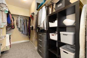 Spacious closet featuring carpet floors