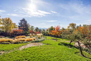 View of yard featuring a mountain view