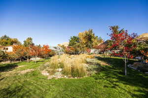 View of yard with a mountain view