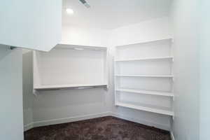 Spacious closet featuring dark colored carpet