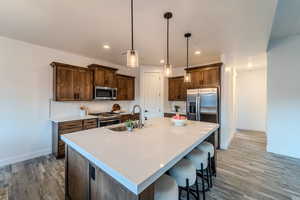 Kitchen featuring pendant lighting, stainless steel appliances, an island with sink, light hardwood / wood-style floors, and sink