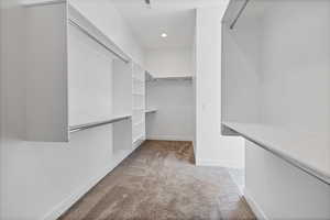 Spacious closet featuring carpet floors