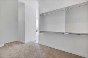 Walk in closet featuring carpet