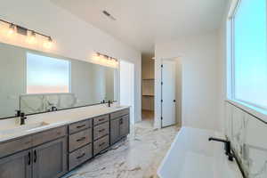 Bathroom with a washtub, vanity, and a healthy amount of sunlight