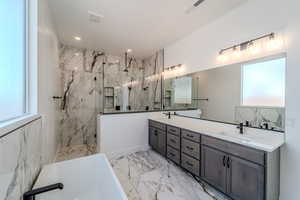 Bathroom featuring vanity, a healthy amount of sunlight, and separate shower and tub